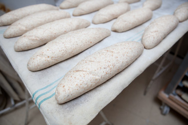 Similar image 12601353