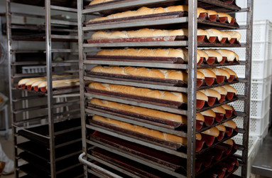 Similar image 12619440