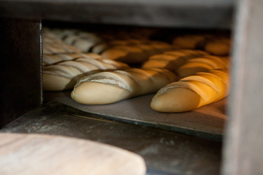 Similar image 12619967