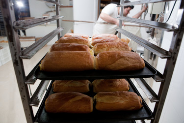 Similar image 12619995