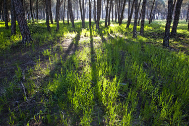 Similar image 12612105