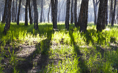 Similar image 12618719