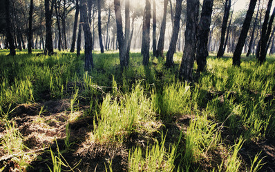 Similar image 12618756