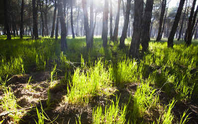 Similar image 12619500