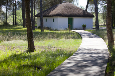 Similar image 12621447