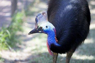 Similar image 12621271