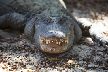 Similar image 12621723