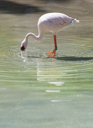 Similar image 12626129