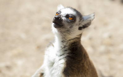 Similar image 12626145