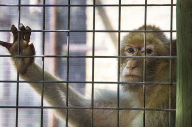 Similar image 12626159