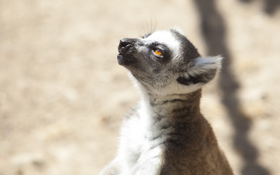 Similar image 12627824