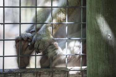 Similar image 12627839