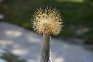 Similar image 12628047