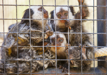 Similar image 12652124