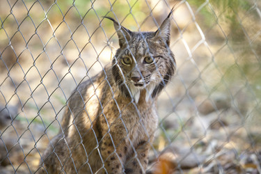 Similar image 12652412