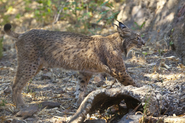 Similar image 12655411