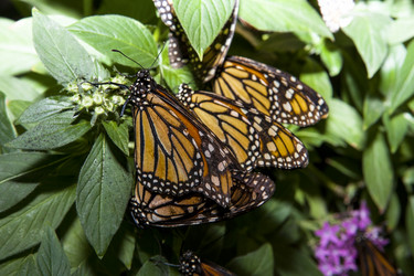 Similar image 12601358