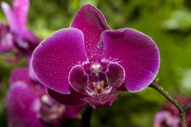 Similar image 12619513