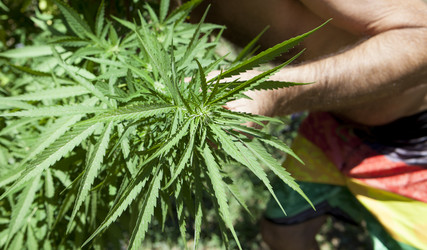 Similar image 12619736