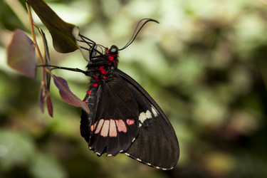 Similar image 12655476