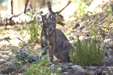 Similar image 12621521