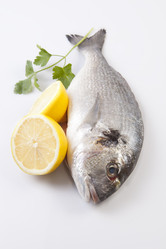 Similar image 12652174