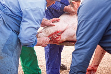 Similar image 12612191