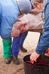 Similar image 12612202