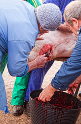 Similar image 12612213