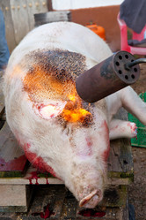 Similar image 12618848