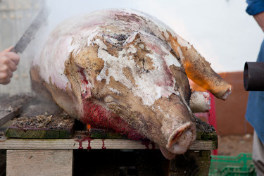 Similar image 12618860