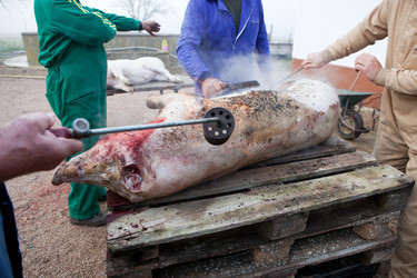 Similar image 12619578