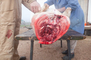 Similar image 12619835