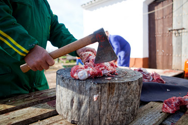 Similar image 12621543