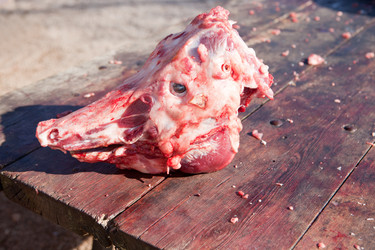 Similar image 12624530