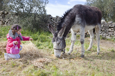 Similar image 12627923