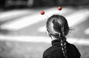 Similar image 12655446