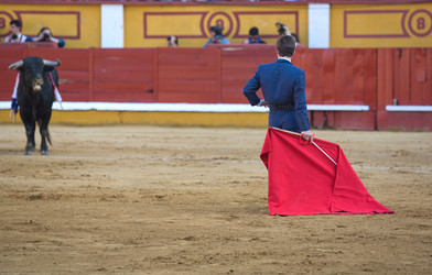 Similar image 12601337