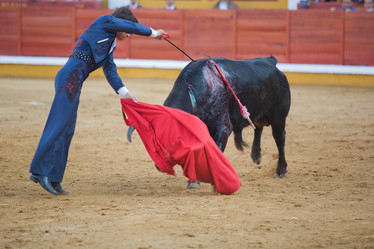 Similar image 12601338