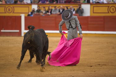 Similar image 12601340