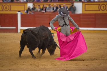 Similar image 12601342