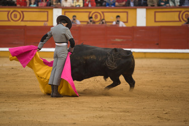 Similar image 12601344