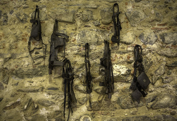 Similar image 12627943