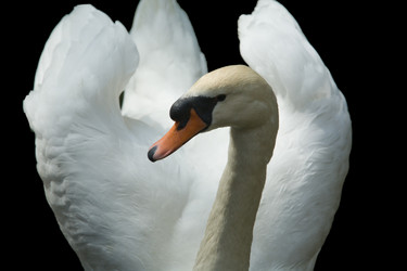 Similar image 12652479