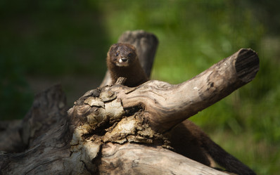 Similar image 12655447