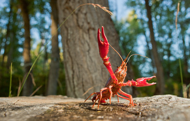 Similar image 12621132