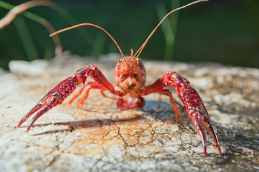 Similar image 12622801