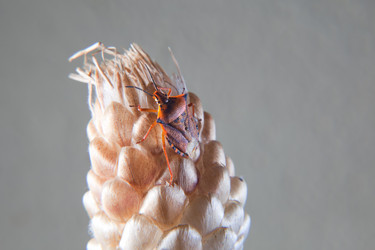 Similar image 12627953