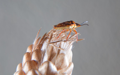 Similar image 12652239