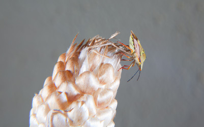 Similar image 12652487